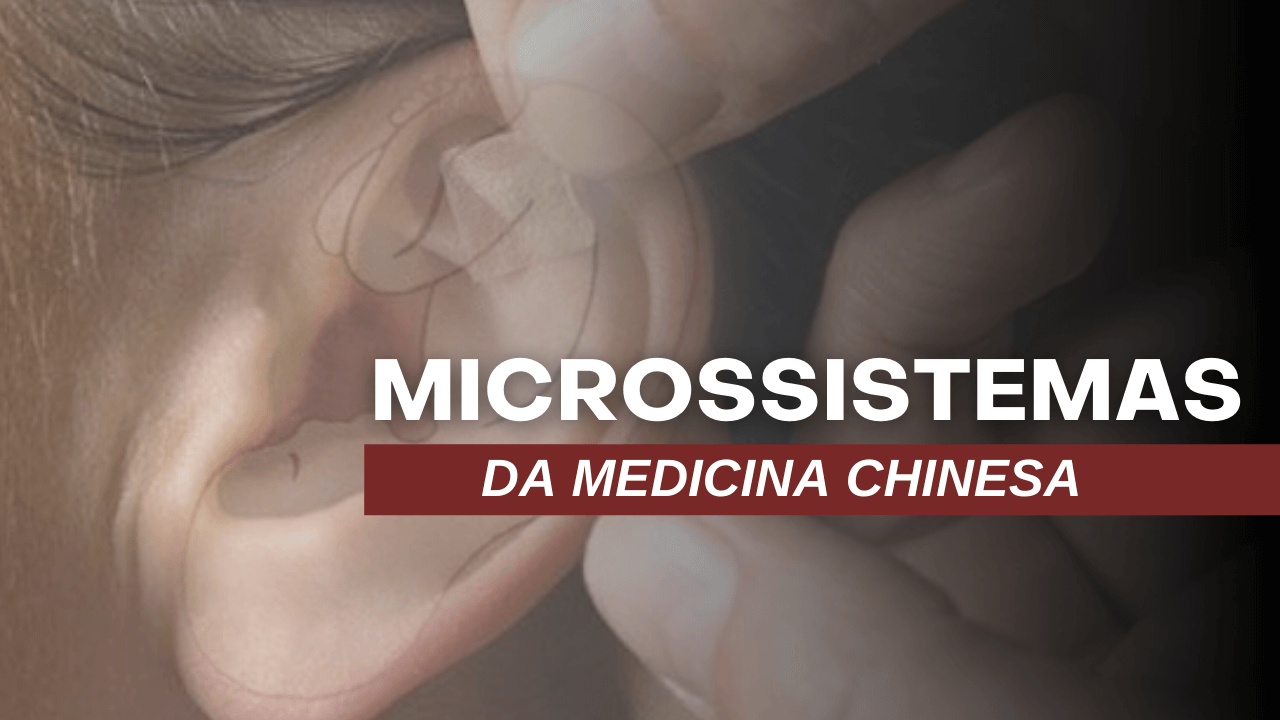 Microssistemas Chineses