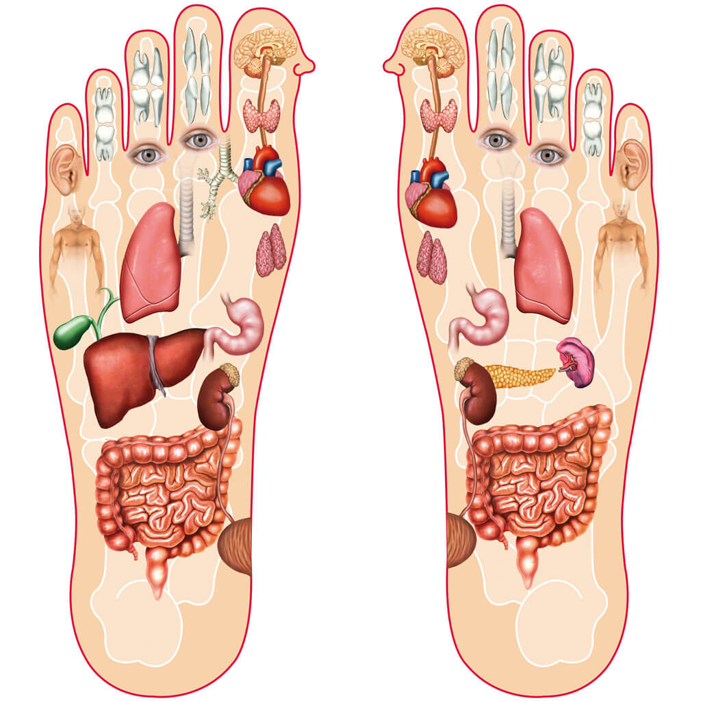 reflexologia-mapa-dos-pes